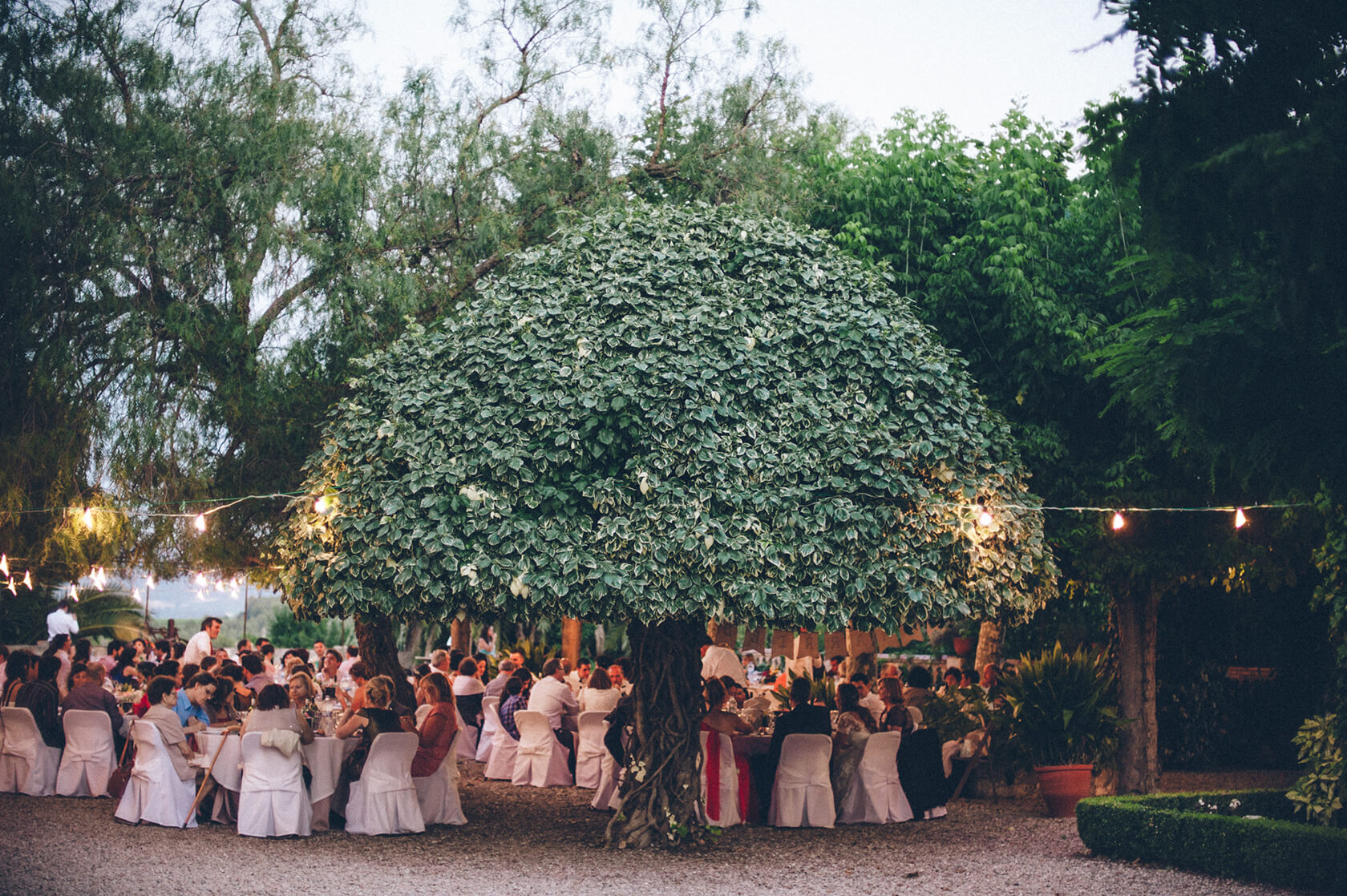 boda en Mas Palou, Sant Pere de Ribes