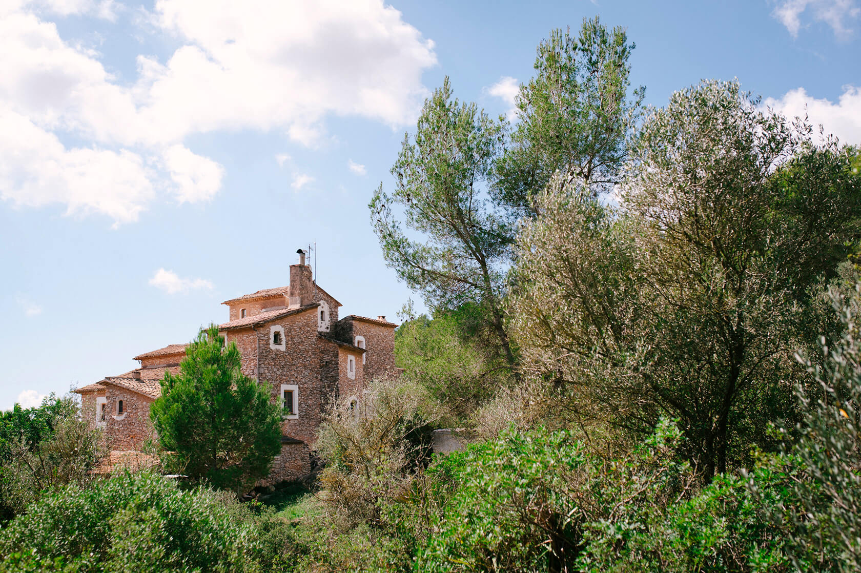 Wedding at Almirall de la Font