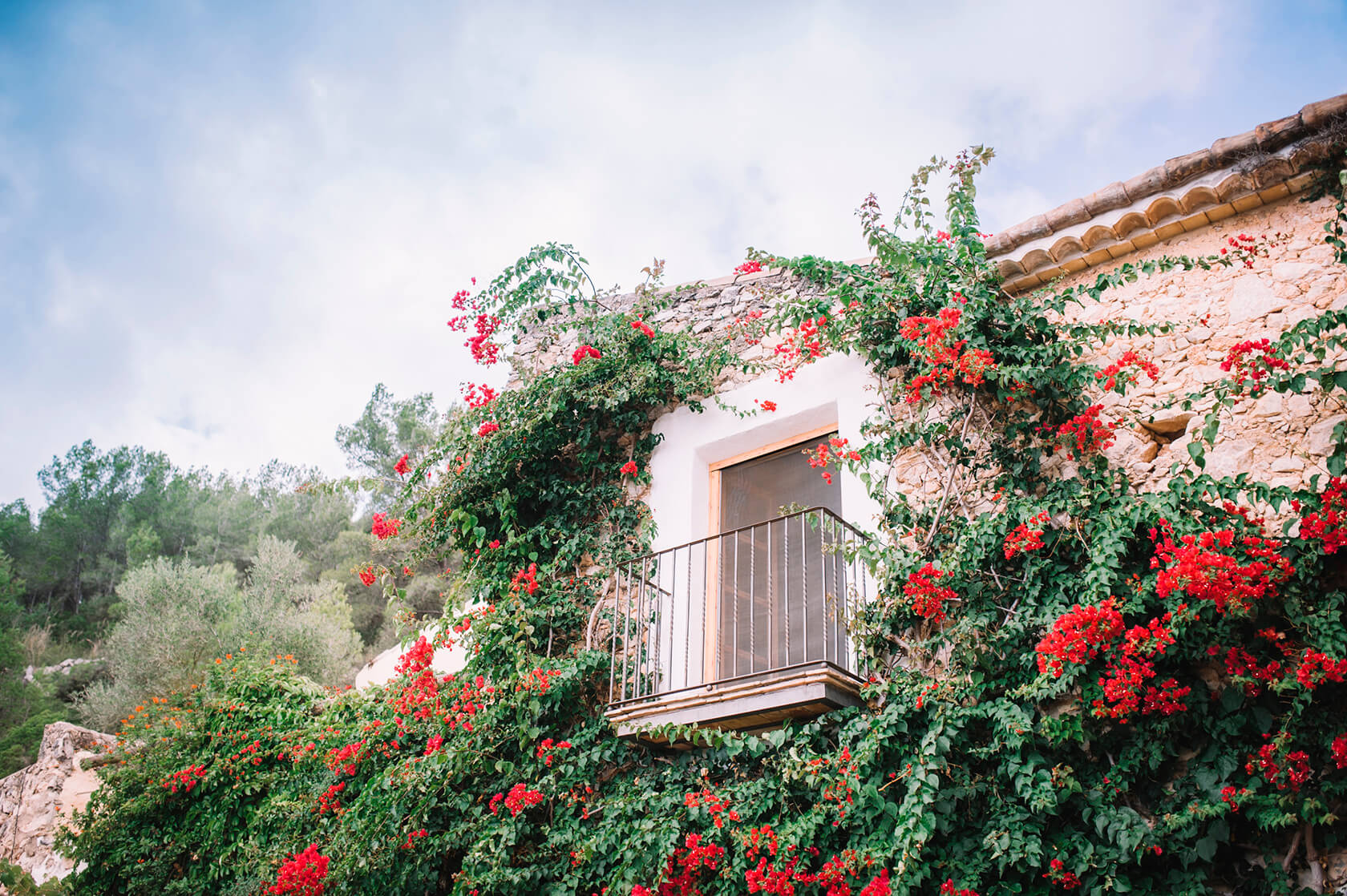 Wedding at Almirall de la Font