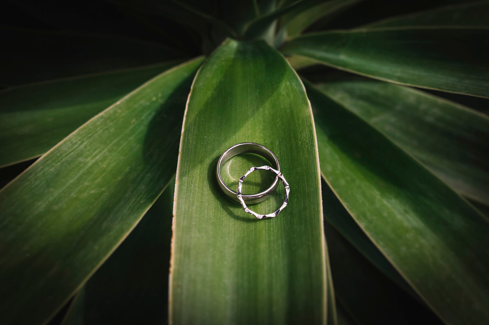Wedding at Almirall de la Font